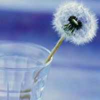 Минеральная вода может навредить