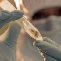 Половина человечества вынашивает неопознанный вирус