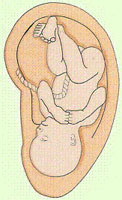 dr-md.ru