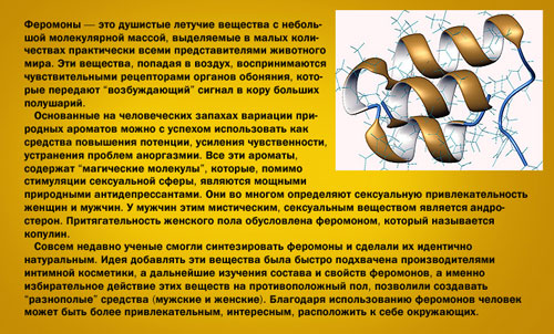 zdorovie.com