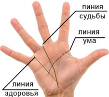 www.melochi-jizni.ru