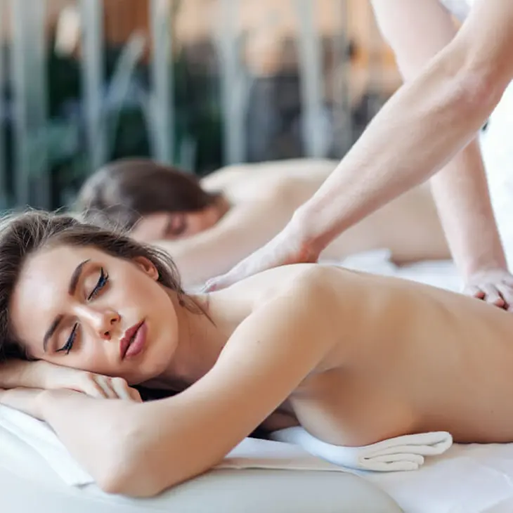 wellness-���������