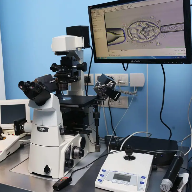 ��� �� �������� �����