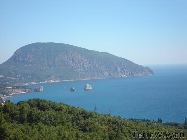 gallery_49098_3_125573.jpg