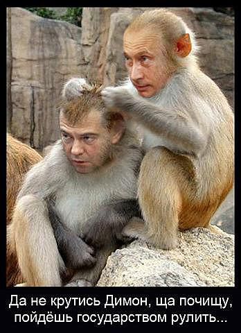 ������������� �����������