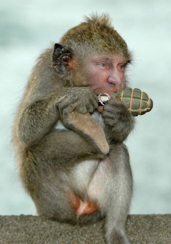 ������������� �����������