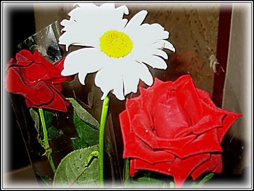 ������������� �����������