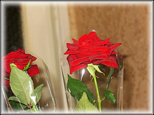 ������������� �����������