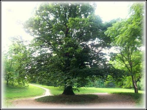 ������������� �����������