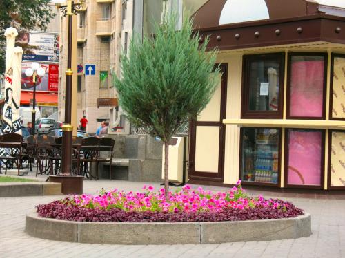 ������������� �����������