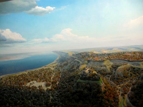 ������������� �����������