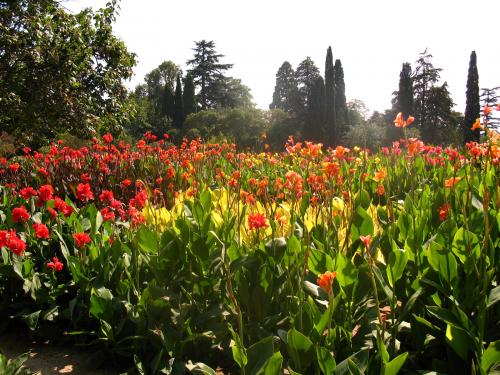 ������������� �����������