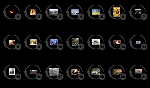 ������������� �����������