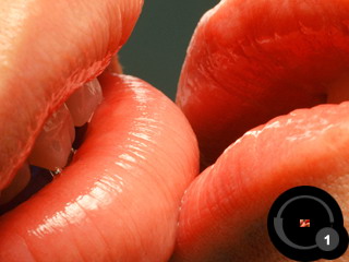 ������������� �����������