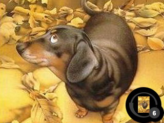 ������������� �����������