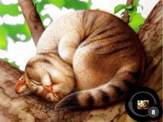 ������������� �����������