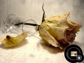 ������������� �����������