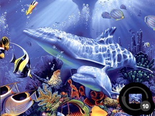 ������������� �����������