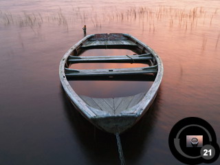 ������������� �����������