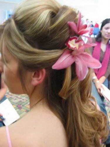 ������������� �����������