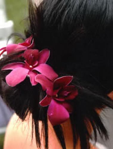 ������������� �����������