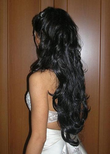 ������������� �����������