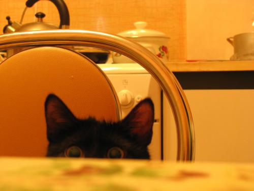 ������������� �����������