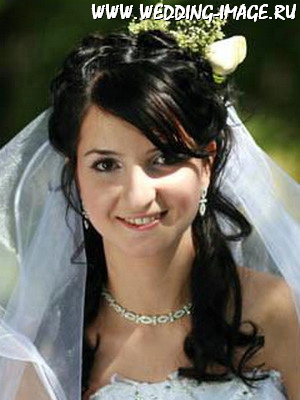 ������������� �����������