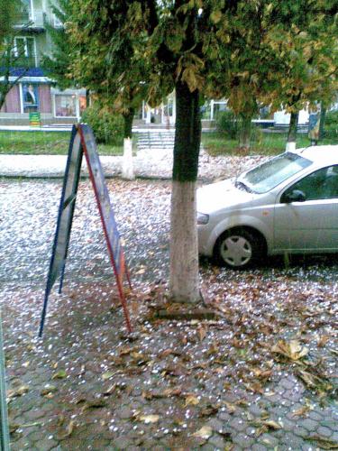 ������������� �����������