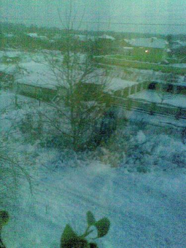 ������������� �����������