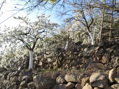 ������������� �����������