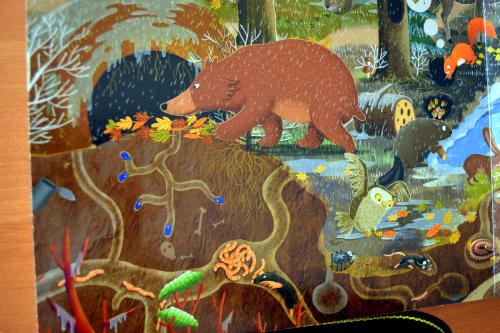 ������������� �����������