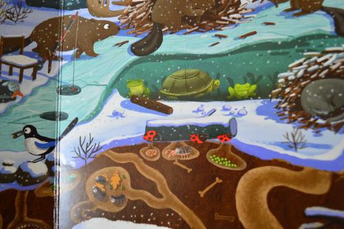 ������������� �����������