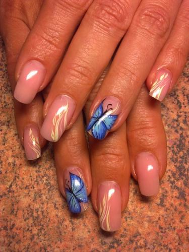 ������������� �����������