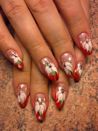 ������������� �����������