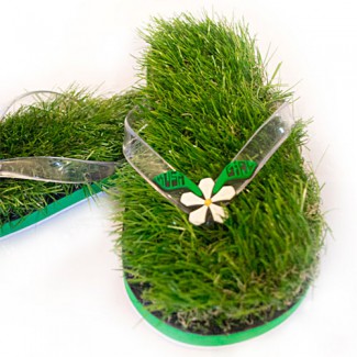 ������������� �����������