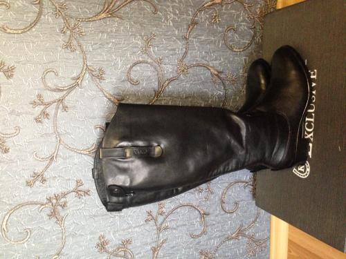 ������������� �����������