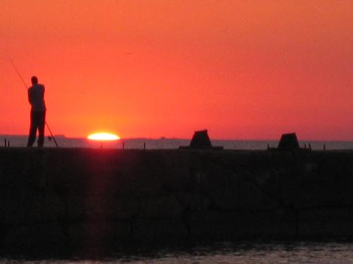 ������������� �����������