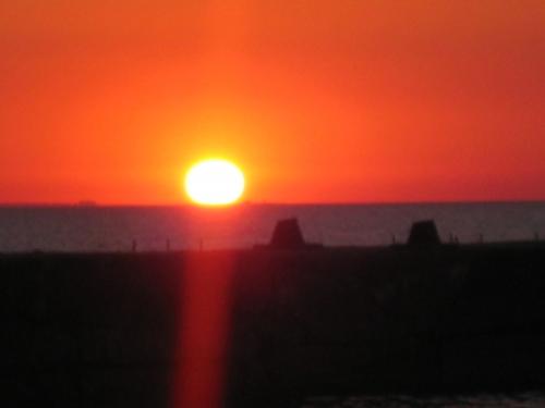 ������������� �����������