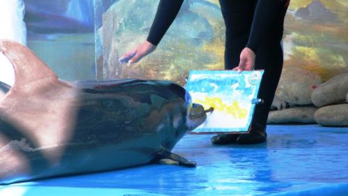 ������������� �����������