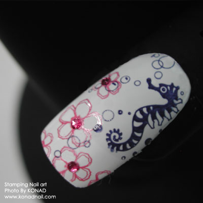 ������������� �����������