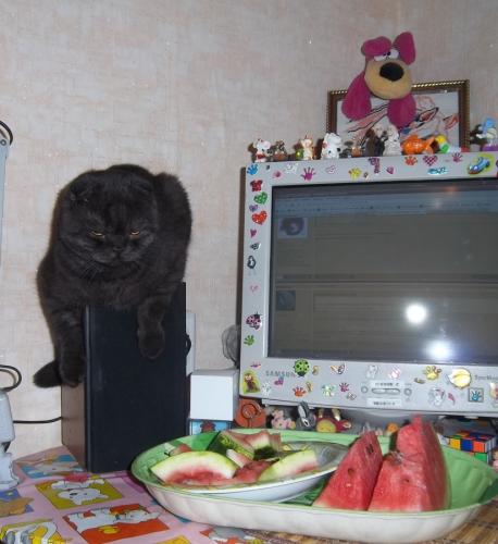 Прикрепленное изображение