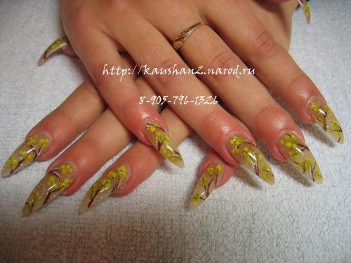 ������������� �����������