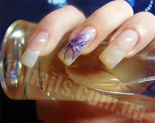 ������������� �����������