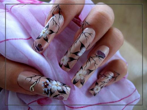 ������������� �����������