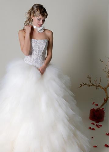 ������������� �����������