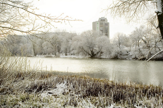 ������������� �����������