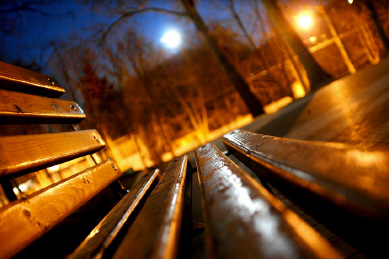 ������������� �����������