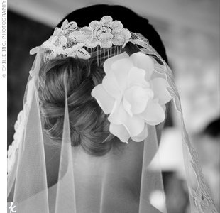 ������������� �����������