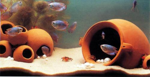 ������������� �����������